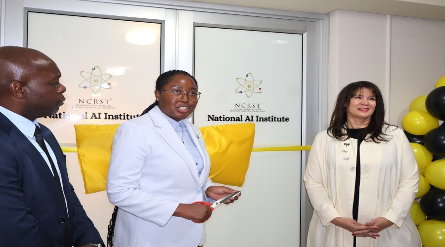 Namibia launches National Artificial Intelligence Institute to enhance local AI capabilities