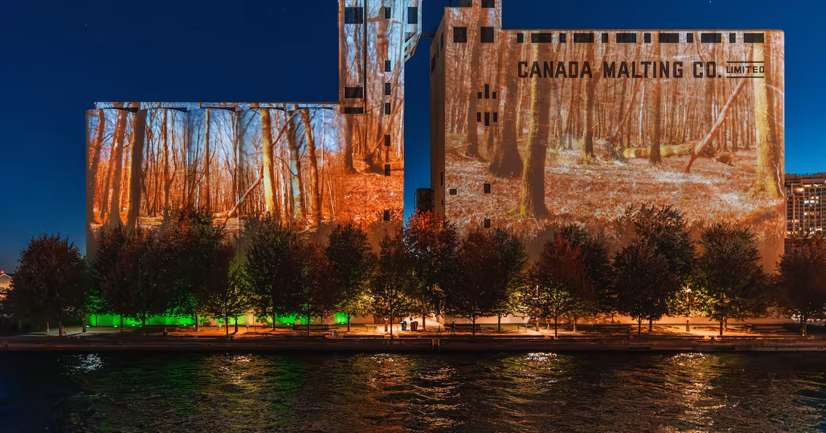 Art installation highlights Canada