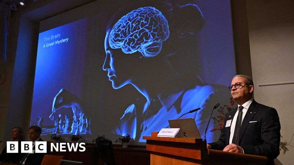 Nobel Prize awarded for revealing inner workings of the brain