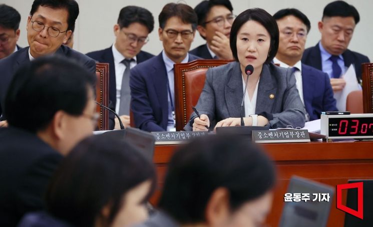 [2026 Parliamentary Audit] Lee Soyoung Launches 'Regulatory Innovation Committee'... Challenges Pile Up at First Audit (Roundup)