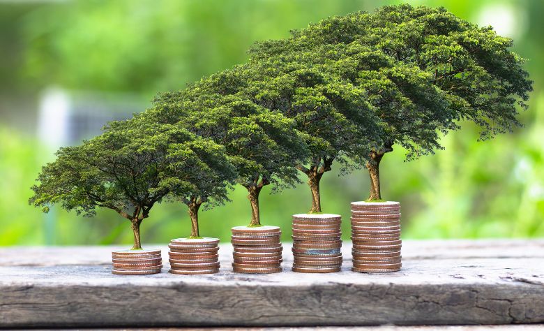 From start-ups to scale-ups