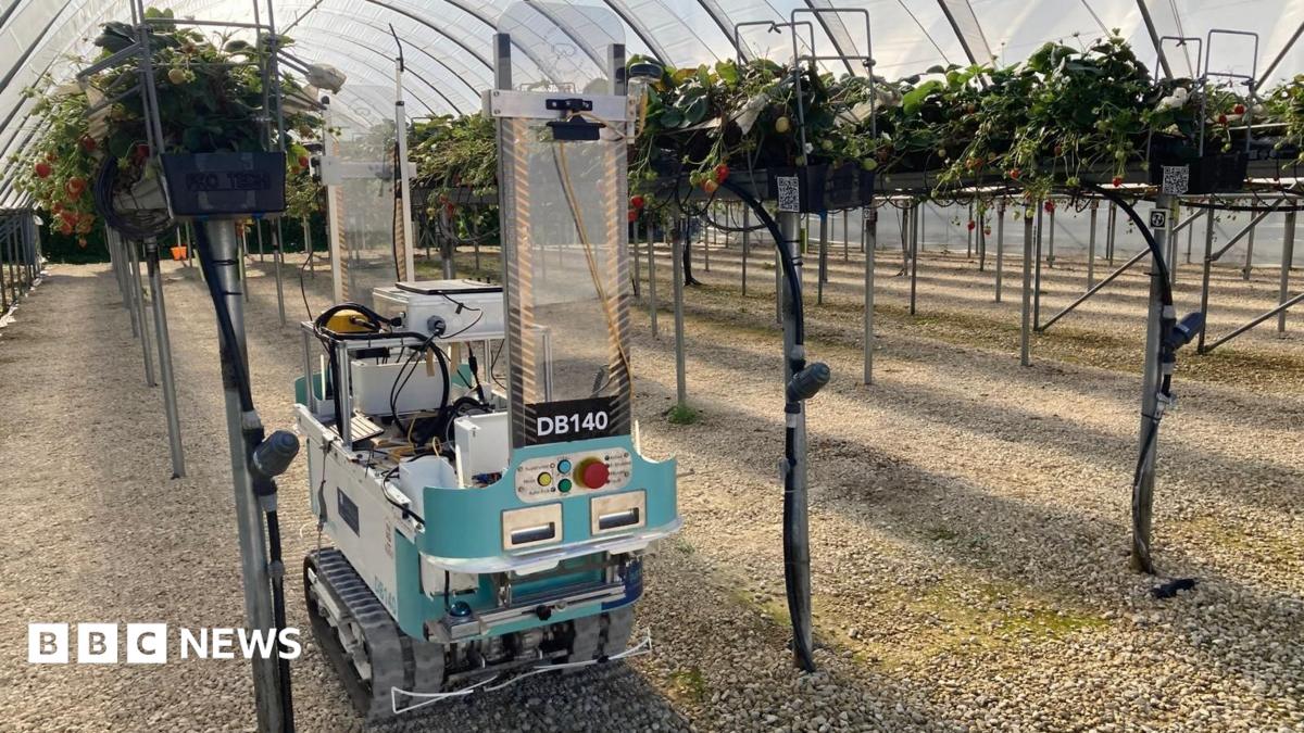 UK robotics hubs to drive adoption of new tech