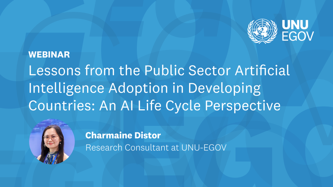 Lessons from the Public Sector Artificial Intelligence Adoption in Developing Countries: An AI Life Cycle Perspective