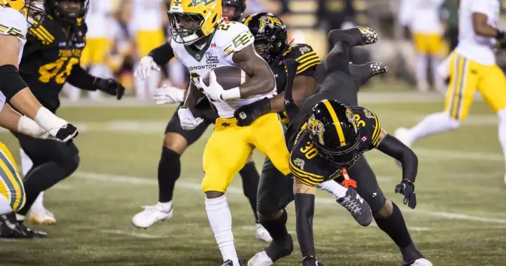 Elks score fourth-quarter TDs to down Ticats 27