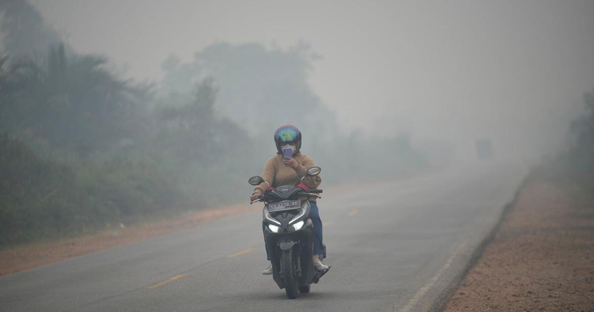 Wildfires threaten Indonesia's orangutans as rescuers find injured animals