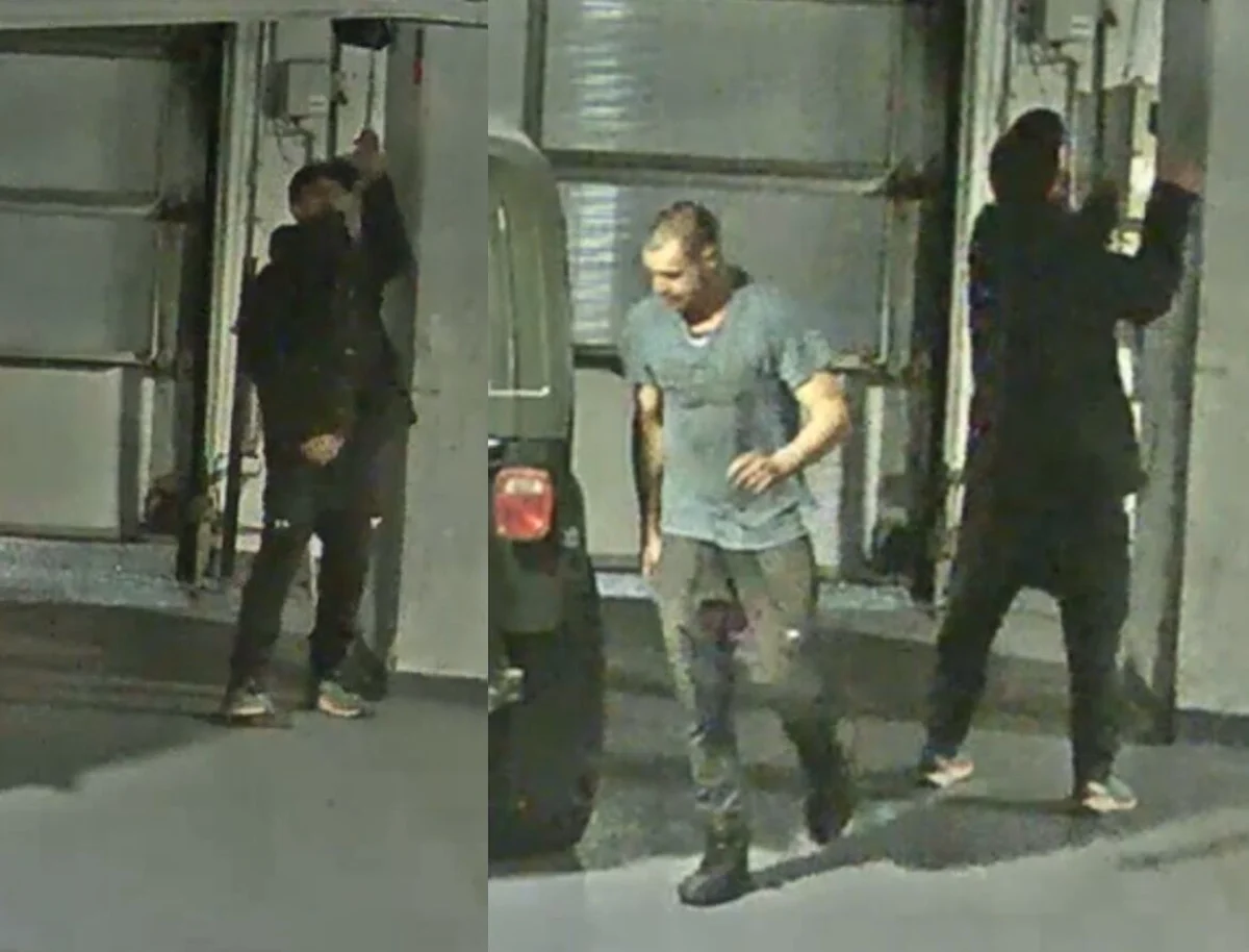 Waterloo police seek suspects in Kitchener vehicle theft