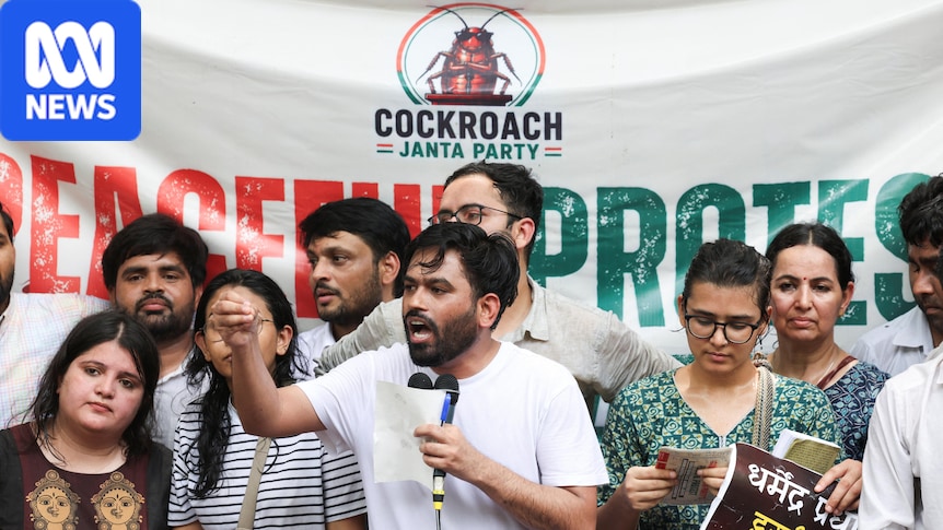 India's 'cockroach' movement founder detained as anger against Modi grows