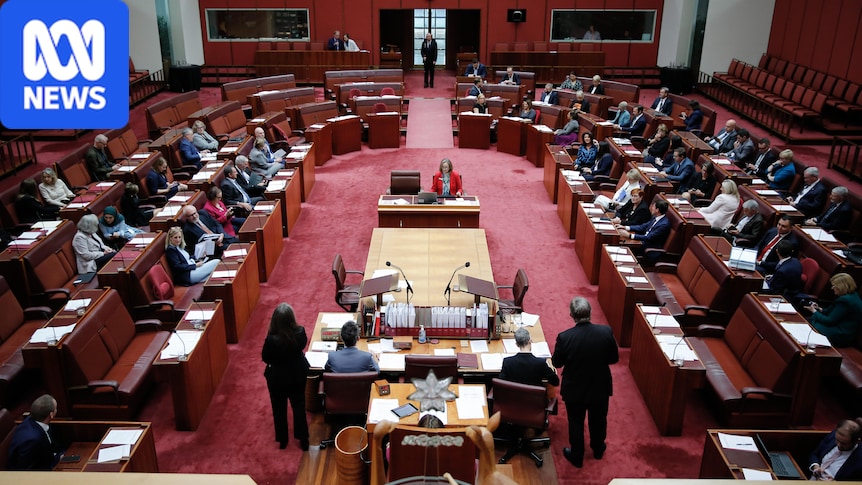 Greens push for right to sue big tech as Labor axes ministerial powers