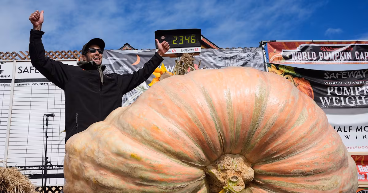 A giant pumpkin named Rocky gives a champion grower his California comeback