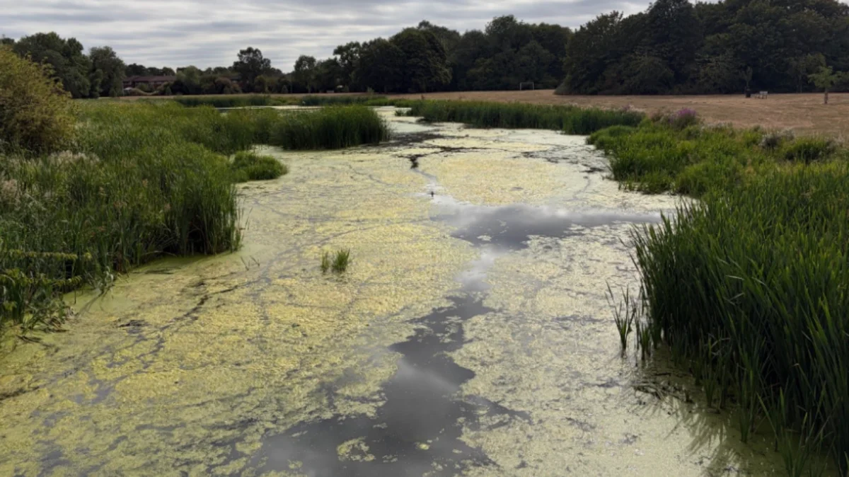 Calls for city's nature reserve to be maintained