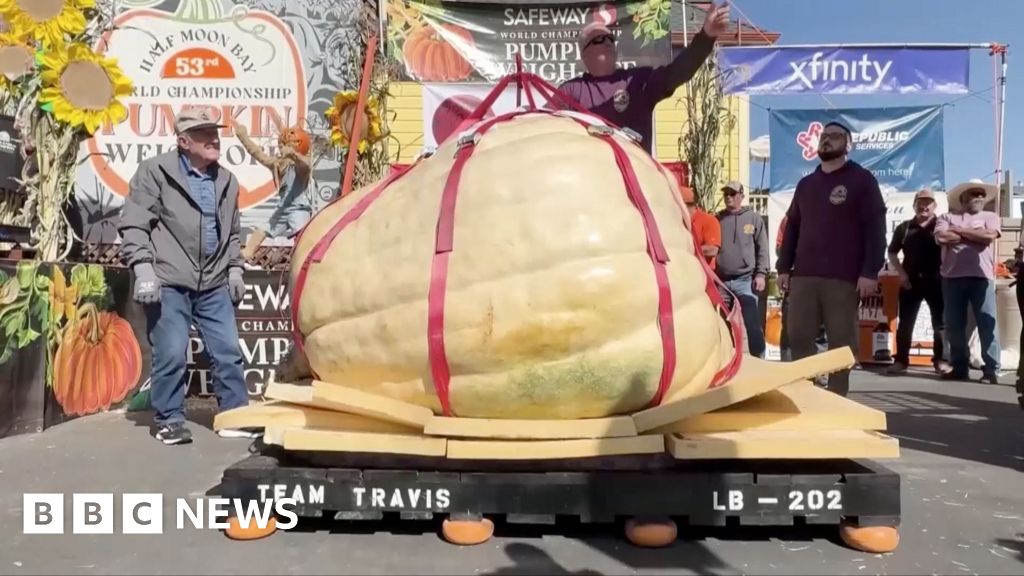Watch: US man eyes pumpkin world record after fifth contest win