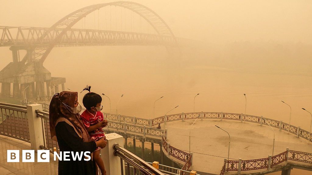 Haze: Who's to blame for the toxic smog choking South East Asia?