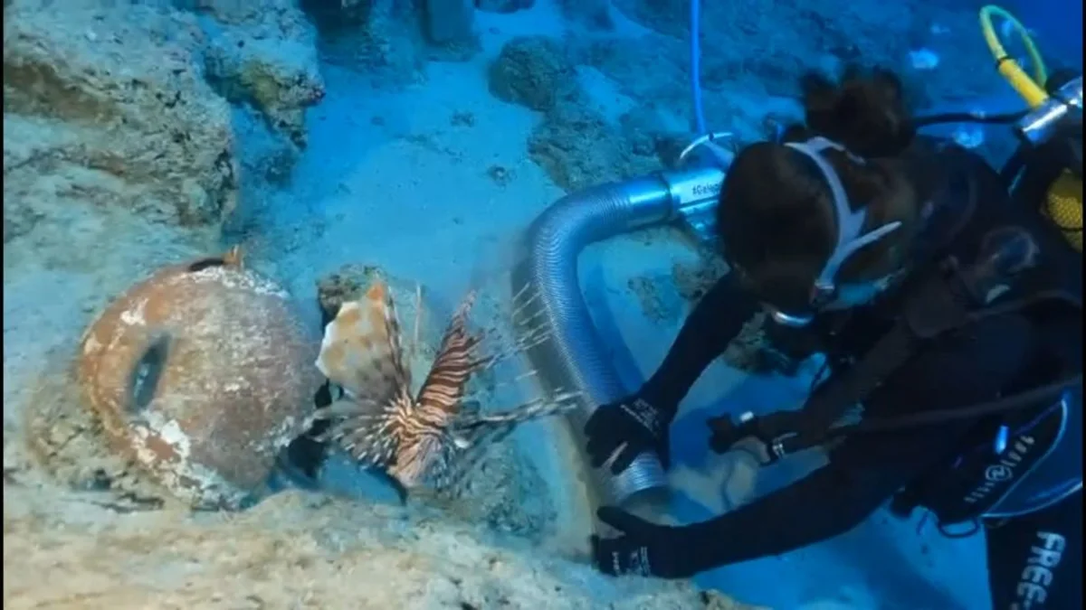 World’s oldest shipwreck found off coast of Turkey
