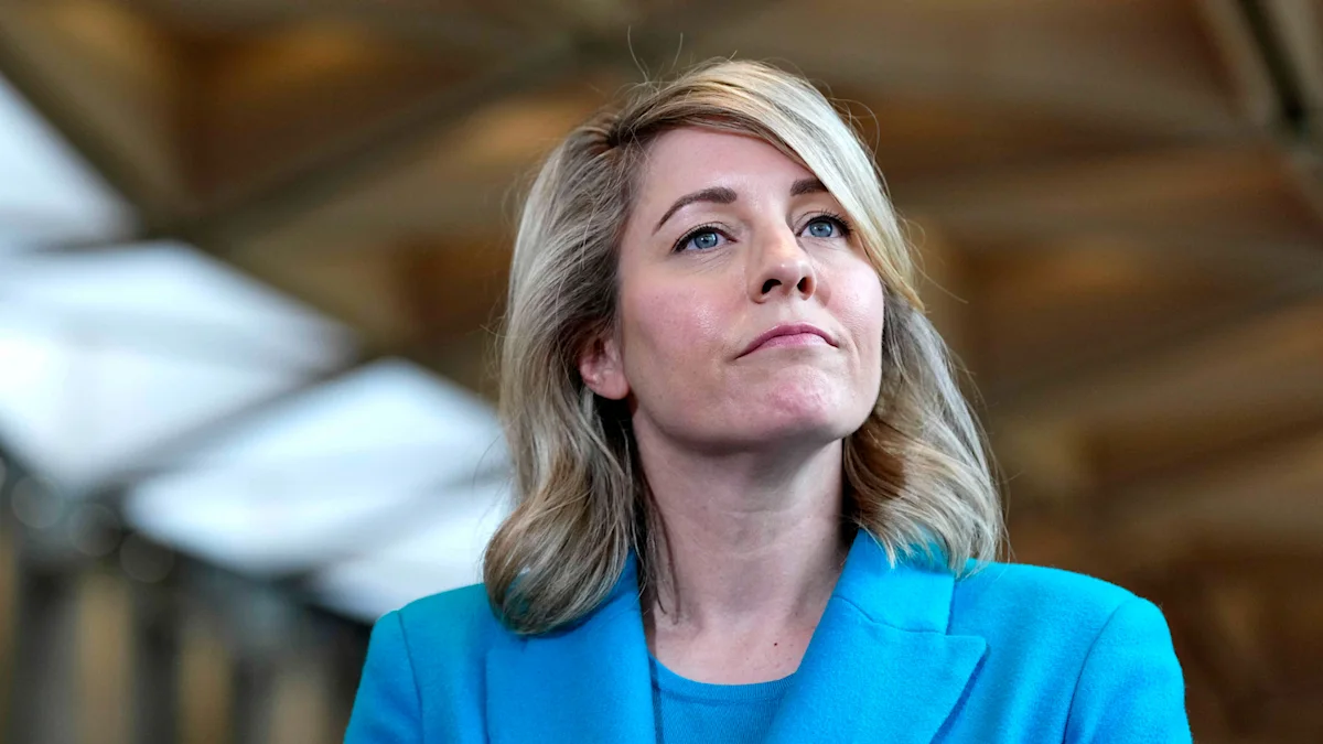 Canada ‘would never’ engage in U.S. election interference, Joly says