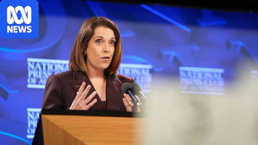 Anika Wells opens door to lawsuits against big tech companies