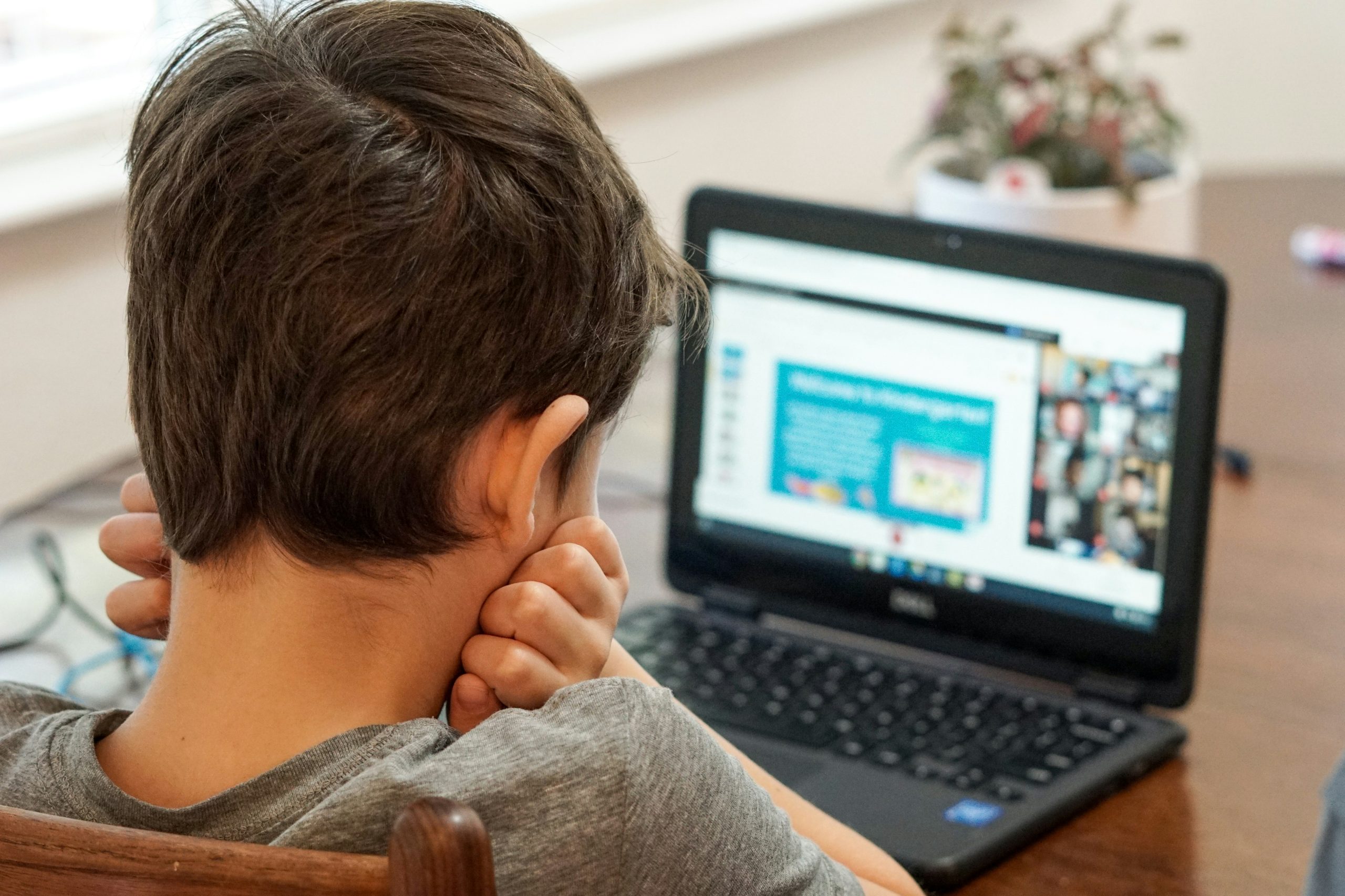 Screen use, artificial intelligence and social media: Impact on children and young people