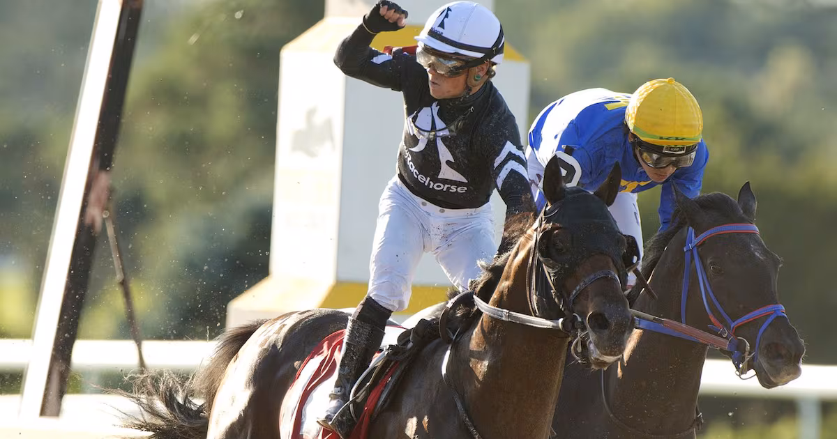 U.S. tax breaks decimate Canada’s horseracing industry